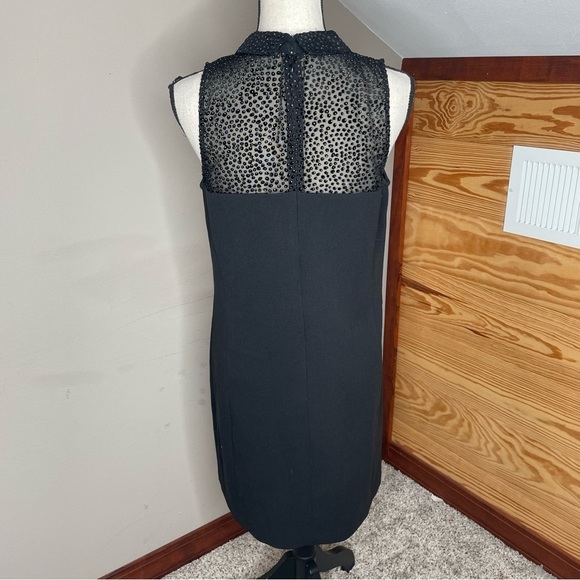 Ann Taylor Loft Black Sleeveless Collared Sheer Top Leopard Print Mini Dress 6 - Picture 3 of 10